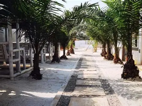 Résidence Dabou Palace