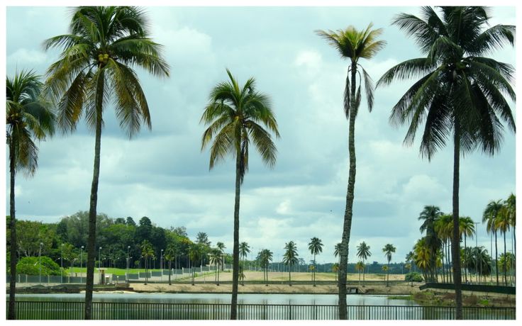 Lac aux Caïmans Sacrés