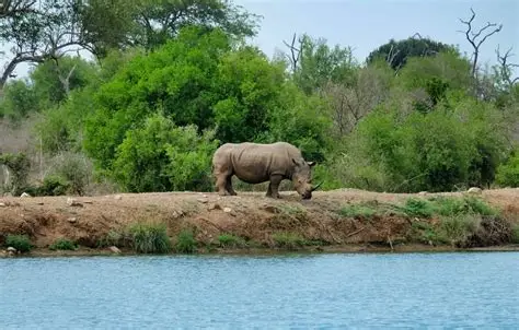 Parc Animalier d'Aboukouamékro