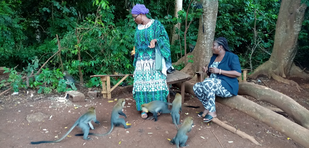 Forêt Sacrée de Gbépleu