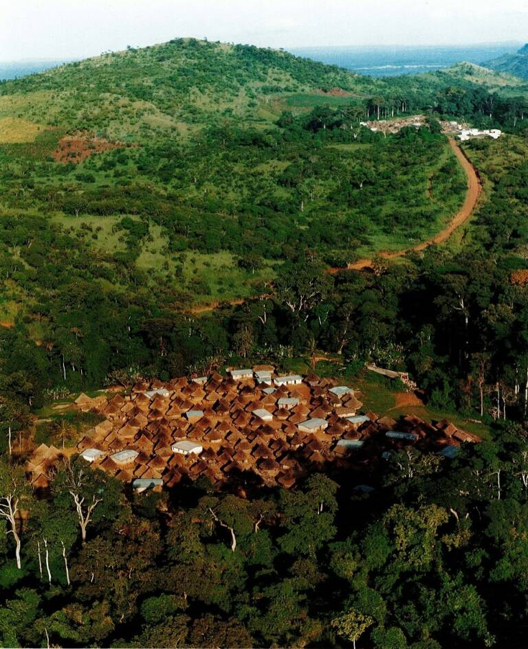 Bois Sacré de Sénoufo