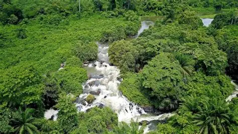 Embouchure du Bandama