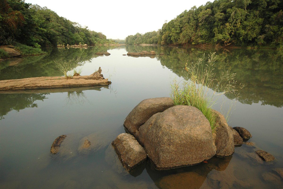 Parc National de la Comoé