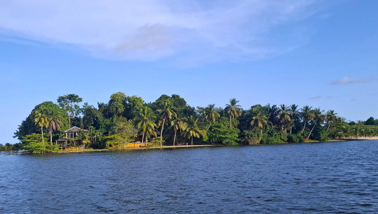 Parc National de Taï