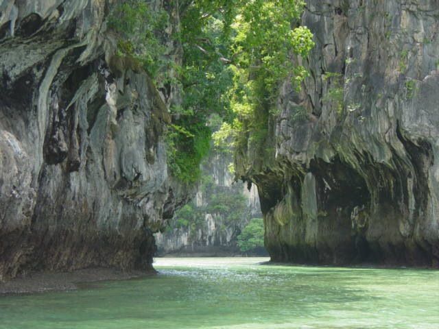 Parc National de Taï