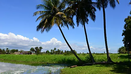 Lagune Ébrié (Rive Nord)